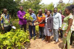 COMMISSION OF SEEDLINGS FOR PEG(AGRIC) PROGRAM BY HON. KWAME ASAMOAH BOATENG (DCE) AT JACOBU
