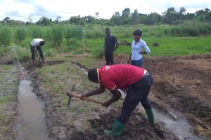 RICE FARMING DEMONSTRATION (AGRIC)